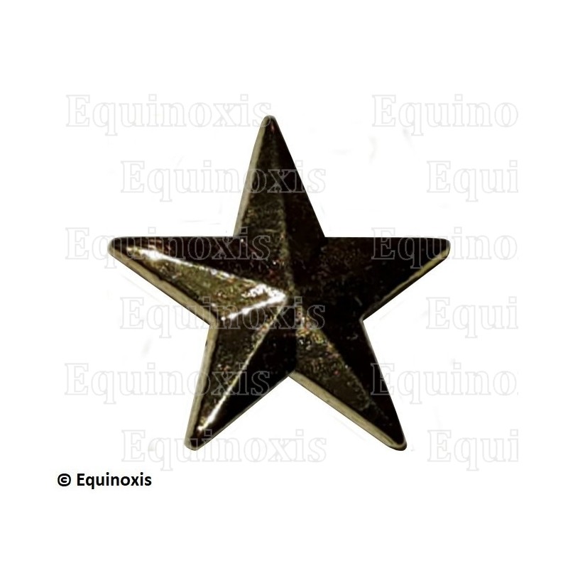 Pin masónico – Capítulo Francés – 5ème Ordre