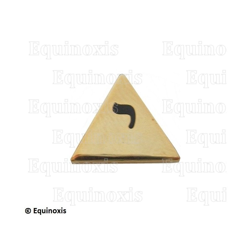 Pin's masónico – Palabra Perdida