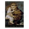 Imán cristiano – San Antonio de Padua