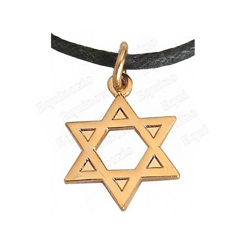 Colgante judaico – Estrella de David – Oro brillante 1