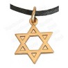 Colgante judaico – Estrella de David – Oro brillante 1